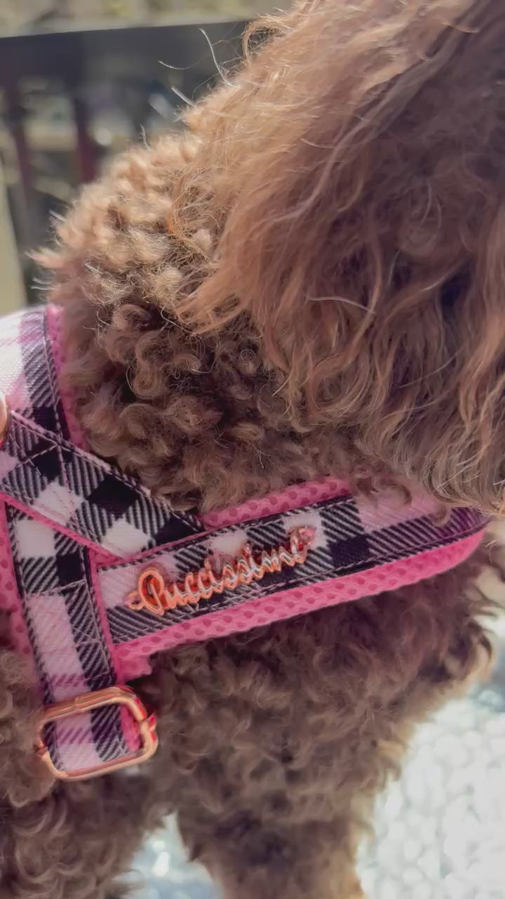 Blossom One-Click Dog Harness