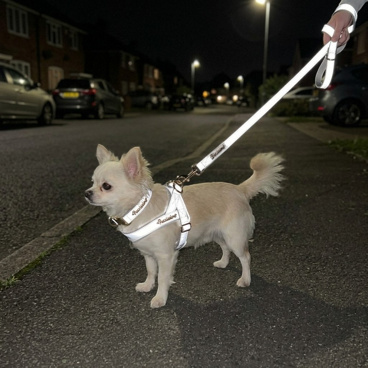Shine Reflective One-Click Dog Harness