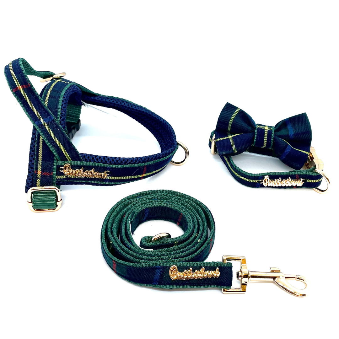 Barclay leash with hands-free extension