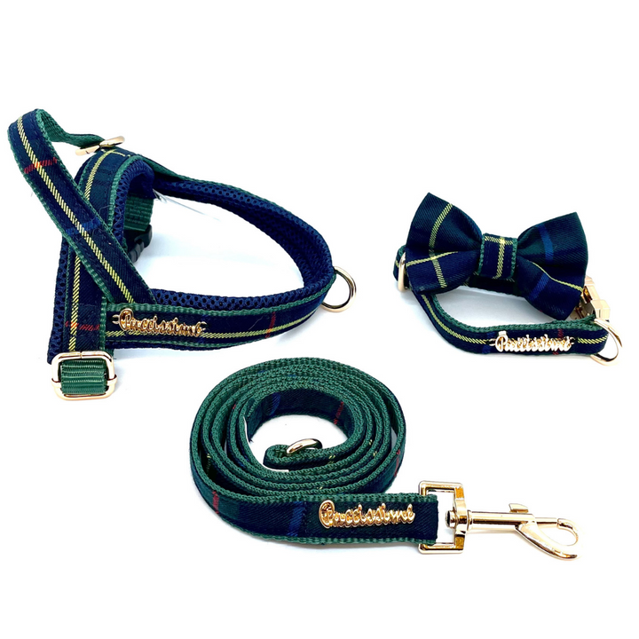 Barclay leash with hands-free extension