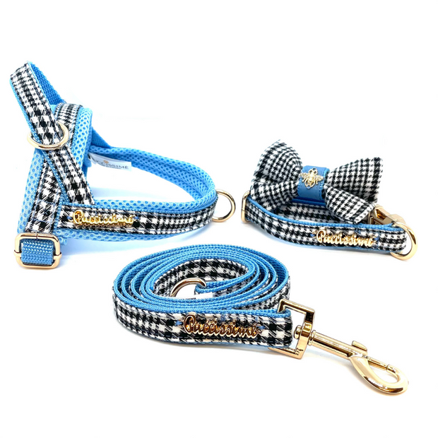 Prince leash with hands-free extension