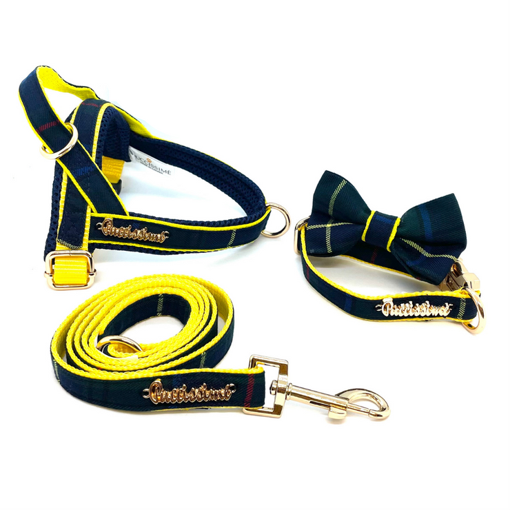Scotland tartan leash with hands-free extension