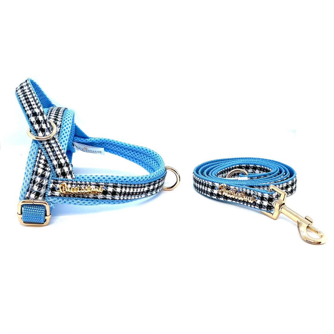 Prince leash with hands-free extension