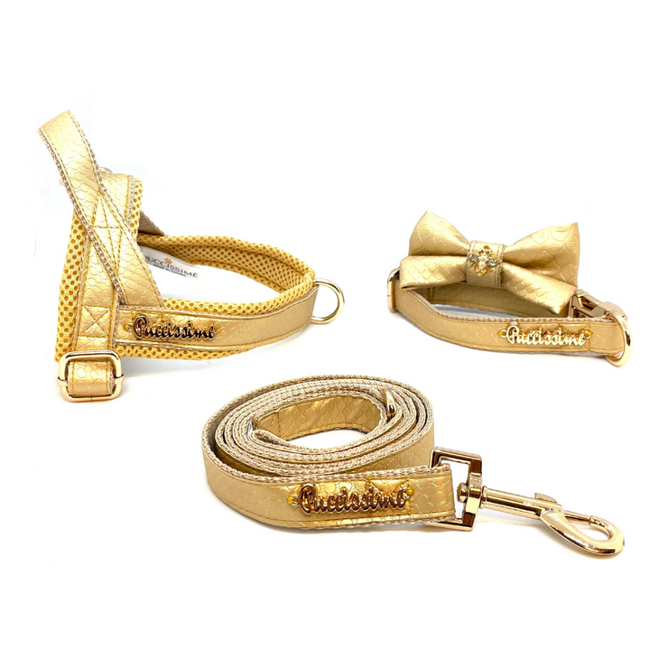Puccissime Aurelia Full Set -Gold luxury vegan leather One-Click Dog harness, dog leash, collar and bow tie. Made in Canada.
