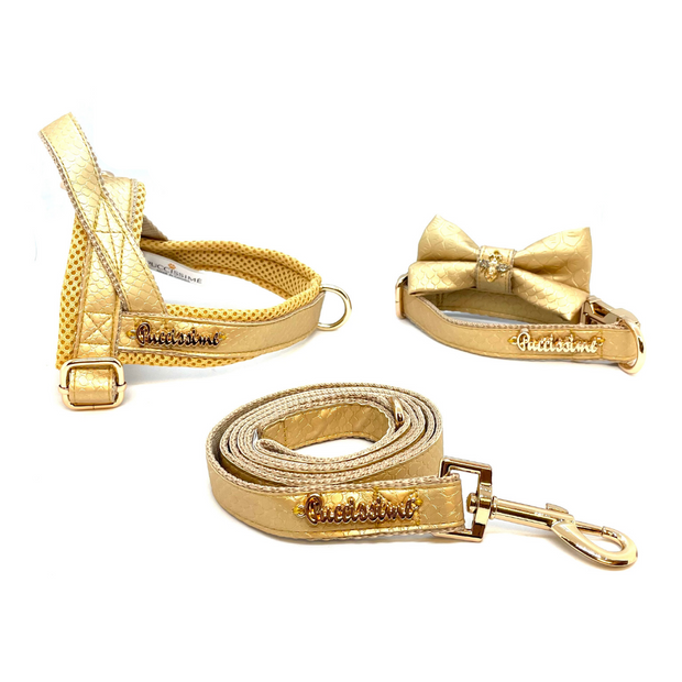 Puccissime "Aurelia" Full set, gold luxury vegan leather Norwegian one click harness. No pull no choke no mat, dog leash, collar and bow tie. MADE IN CANADA
