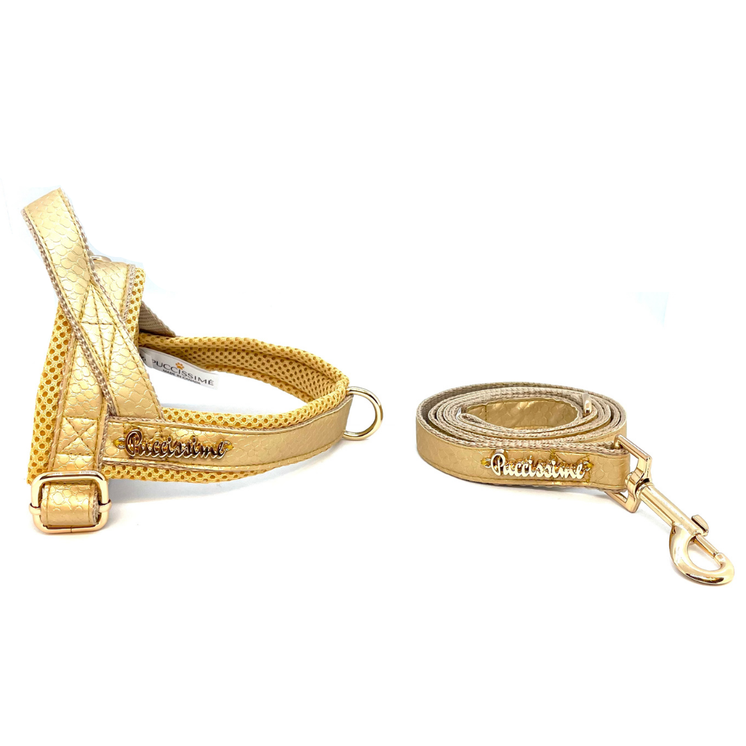 Puccissime Amulet gold luxury vegan leather matching set. Dog One-Click Harness, & dog leash. Made in Canada.