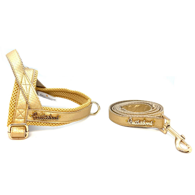 Puccissime "Aurelia"- gold luxury vegan leather Norwegian one click harness and leash. MADE IN CANADA
