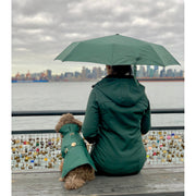 Elegant luxury Puccissime dog winter green rain jacket waterproof