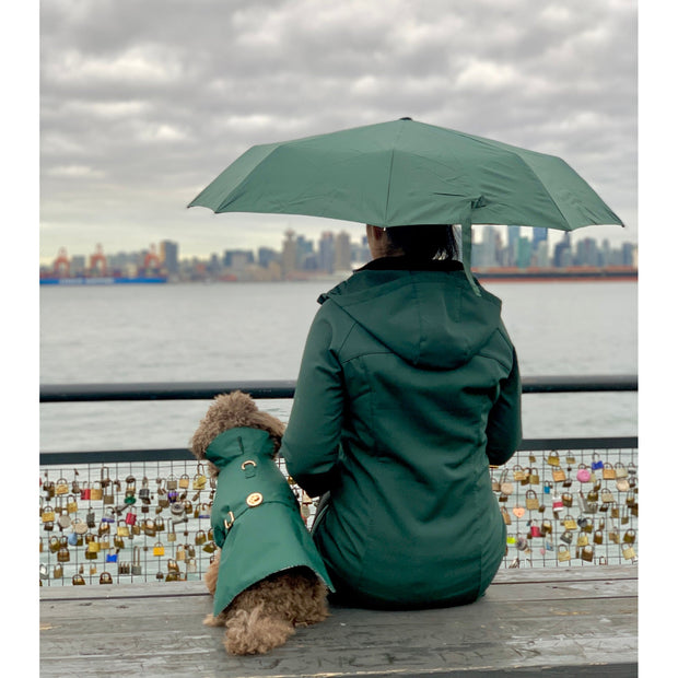 Elegant luxury Puccissime dog winter green rain jacket waterproof