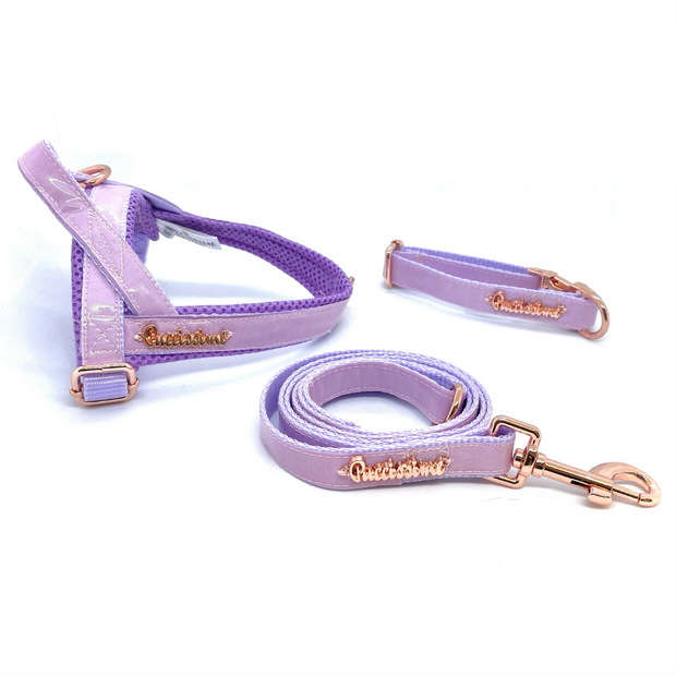 Puccissime Lavender luxury vegan leather One-Click Dog harness, dog leash and collar. MADE IN CANADA.