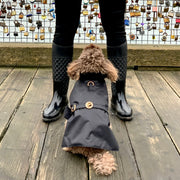 Elegant luxury Puccissime dog winter rain jacket waterproof