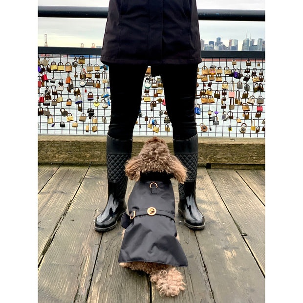 Elegant luxury Puccissime dog winter rain jacket waterproof