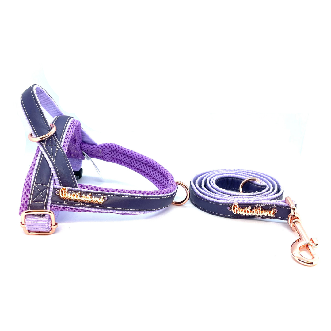 Orchid One-Click Dog Harness