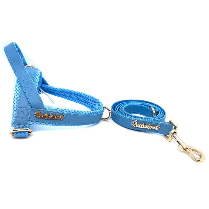 Maya Blue One-Click Dog Harness