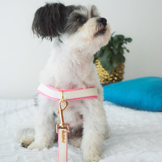 Puccissime My baby girl pink and white luxury vegan leather dog accessories matching set. Norwegian one click no pull no choke no mat easy wear dog harness and dog leash. MADE IN CANADA.