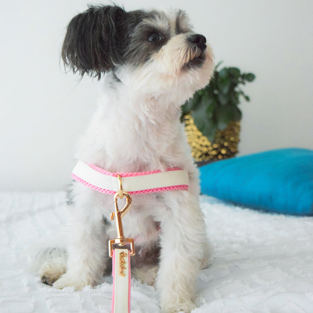 Puccissime My baby girl pink and white luxury vegan leather dog accessories matching set. Norwegian one click no pull no choke no mat easy wear dog harness, dog collar and bow tie. MADE IN CANADA.