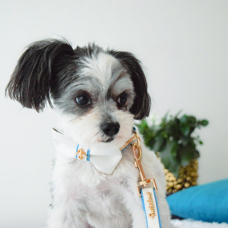 Puccissime My baby boy blue and white luxury vegan leather matching set dog leash and dog collar bow tie. MADE IN CANADA.