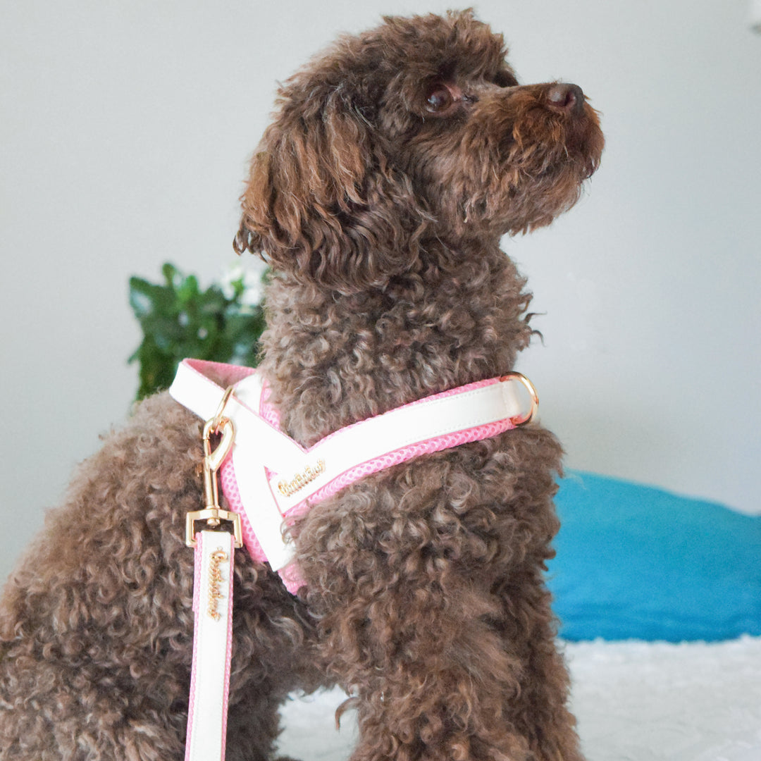 Puccissime My baby girl pink and white luxury vegan leather dog accessories matching set. Norwegian one click no pull no choke no mat easy wear dog harness and dog leash. MADE IN CANADA.