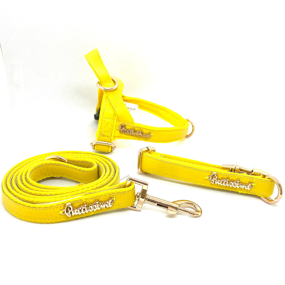 Yellow  One-Click harness, collar & leash-Genuine leather Set, Puccissime Pet Couture