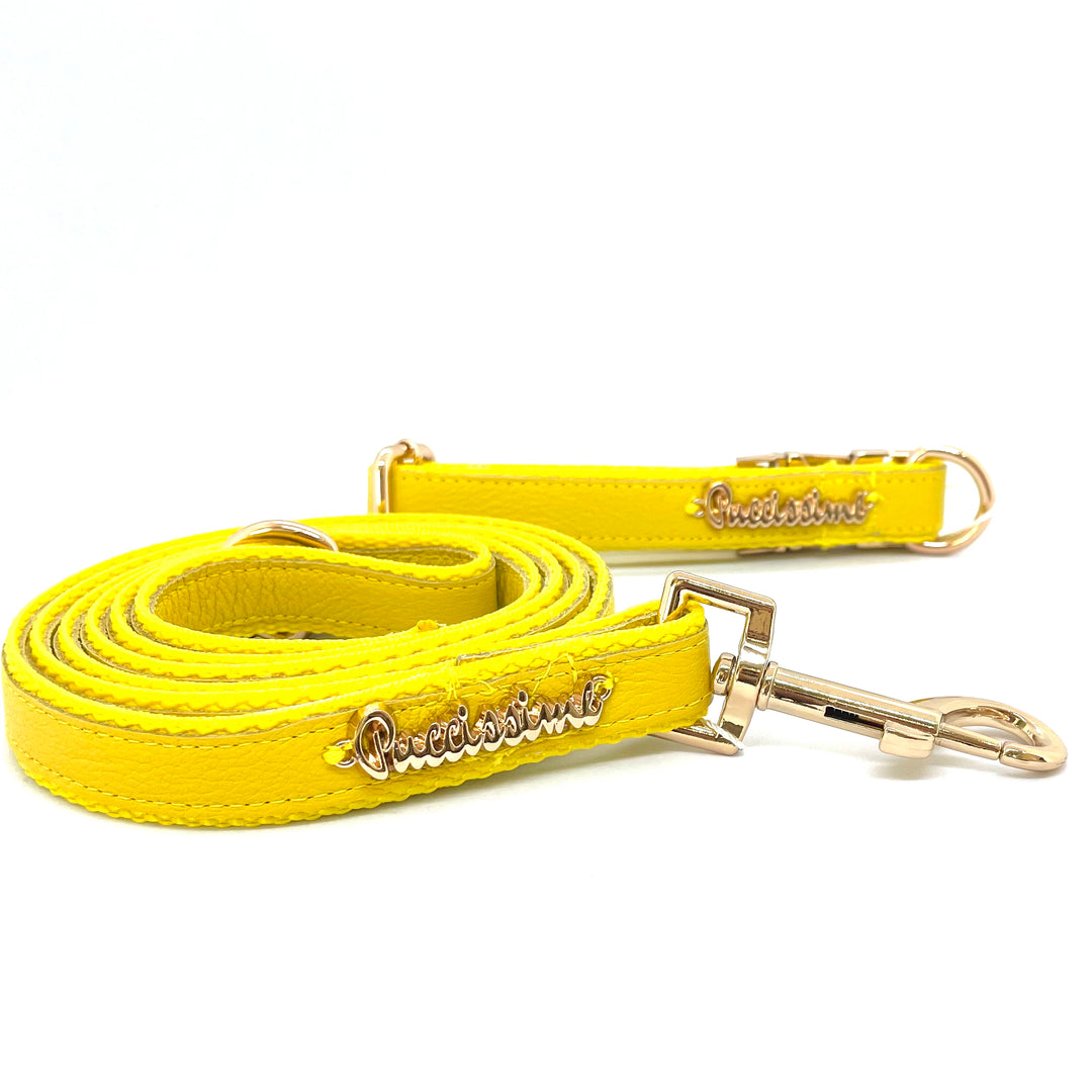 Yellow collar & leash-Genuine Leather, Puccissime Pet Couture