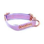 Puccissime Dog collar - Lavender luxury vegan leather - MADE IN CANADA.