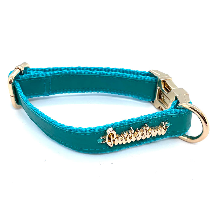 Aqua dog collar - genuine leather- Made in Canada 