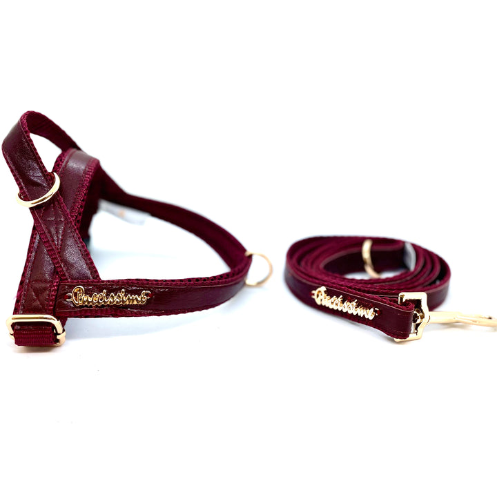 Red Wine One-Click Dog Harness