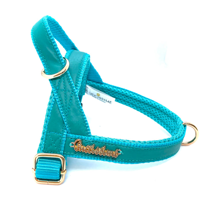 Aqua one click dog harness genuine leather- made in Canada  