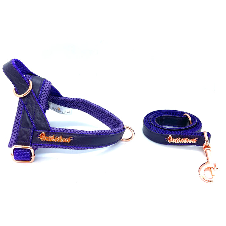 Lilac one click dog harness genuine leather- made in Canada 