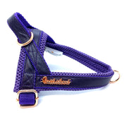 Lilac one click dog harness genuine leather- made in Canada 