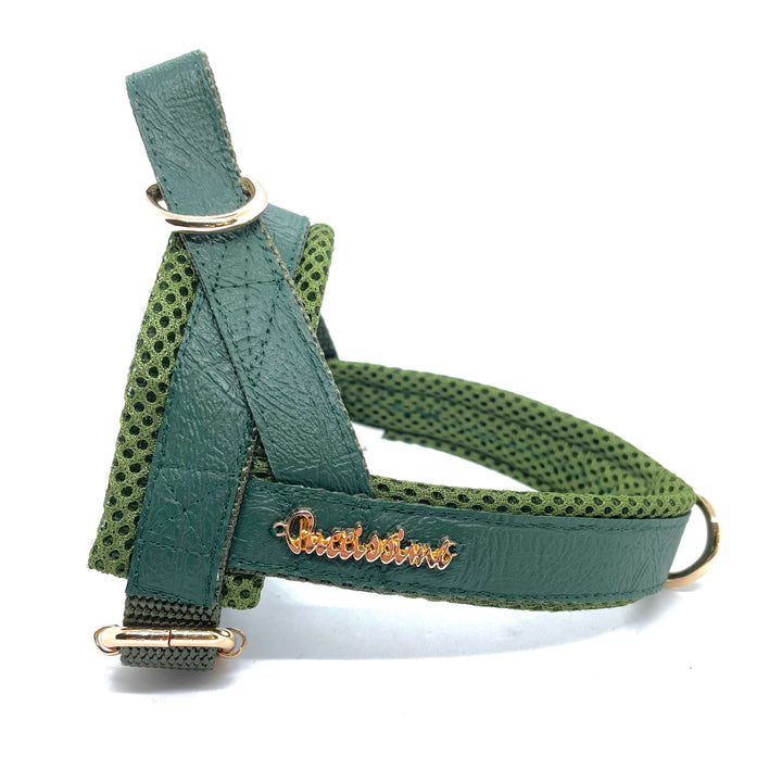 Puccissime Jade green luxury vegan leather Norwegian one click harness. No pull no choke no mat easy wear. MADE IN CANADA