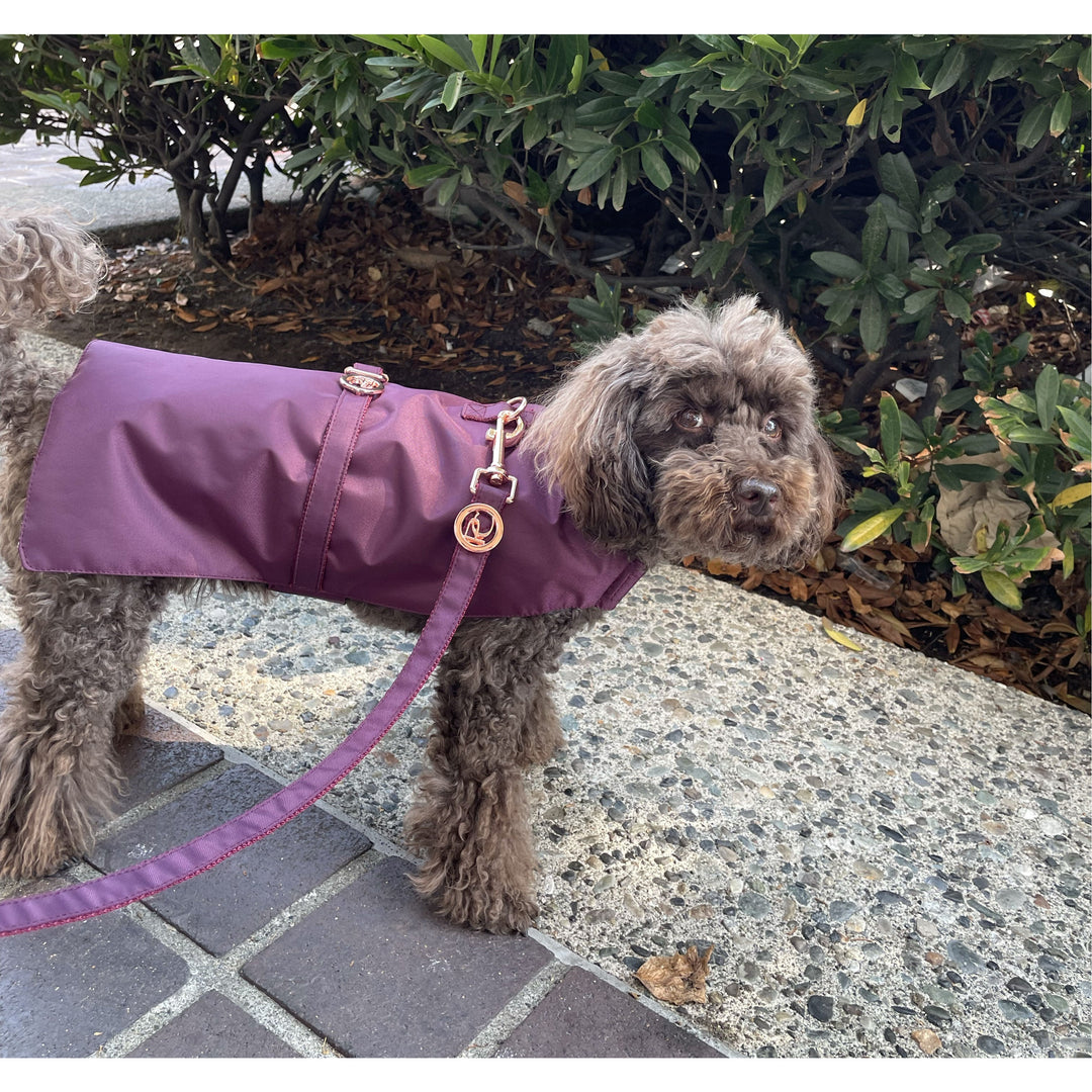 Puccissime Burgundy dog rain jacket and leash. MADE IN CANADA.