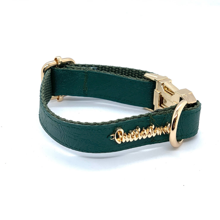 Puccissime Jade green luxury vegan leather dog collar. MADE IN CANADA.
