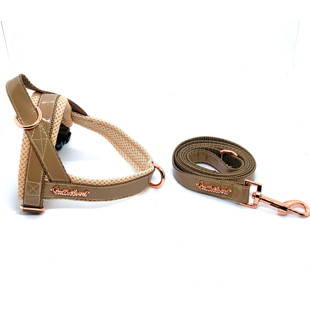 Puccissime Champagne beige luxury vegan leather dog accessories matching set. Norwegian one click no pull no choke no mat easy wear dog harness and leash. MADE IN CANADA.