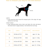 Harness SIzes