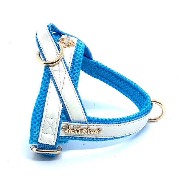 Puccissime My baby boy blue and white luxury vegan leather Norwegian one click harness. No pull no choke no mat easy wear. MADE IN CANADA