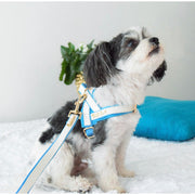 Puccissime My baby boy blue and white luxury vegan leather dog accessories matching set. Norwegian one click no pull no choke no mat easy wear dog harness and dog leash. MADE IN CANADA.