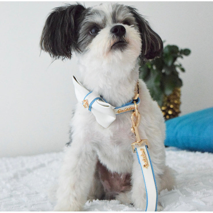 Puccissime My baby boy blue and white luxury vegan leather matching set dog leash and dog collar bow tie. MADE IN CANADA.