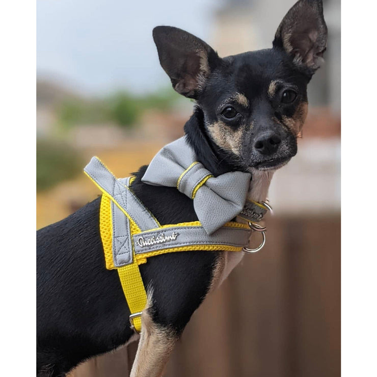 Puccissime Morning mist grey and yellow luxury vegan leather dog accessories matching set. Norwegian one click no pull no choke no mat easy wear dog harness, dog collar and bow tie. MADE IN CANADA.