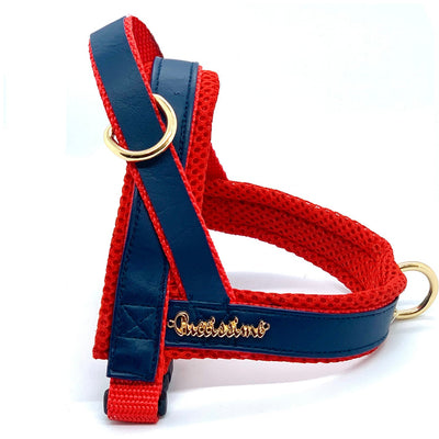 Puccissime Cardinal red and navy luxury vegan leather Norwegian one click harness. No pull no choke no mat easy wear. MADE IN CANADA