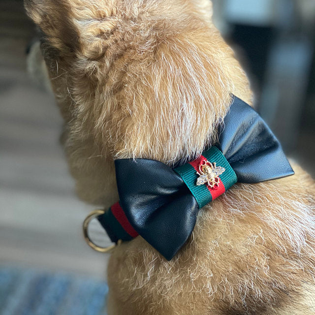 Black leather designer collar, Leash & bow tie - Wholesale