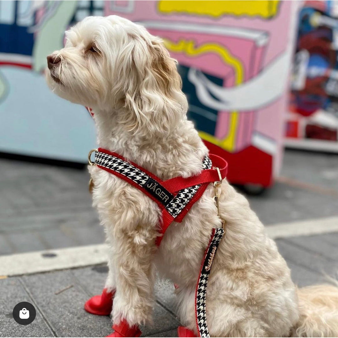 Affinity Houndstooth Red One-Click Dog Harness