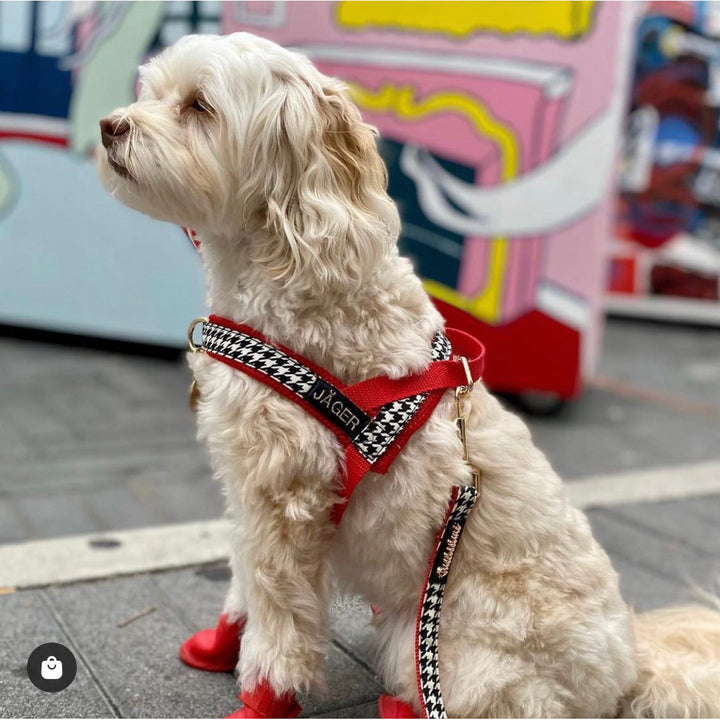 Affinity Houndstooth Red One-Click Dog Harness