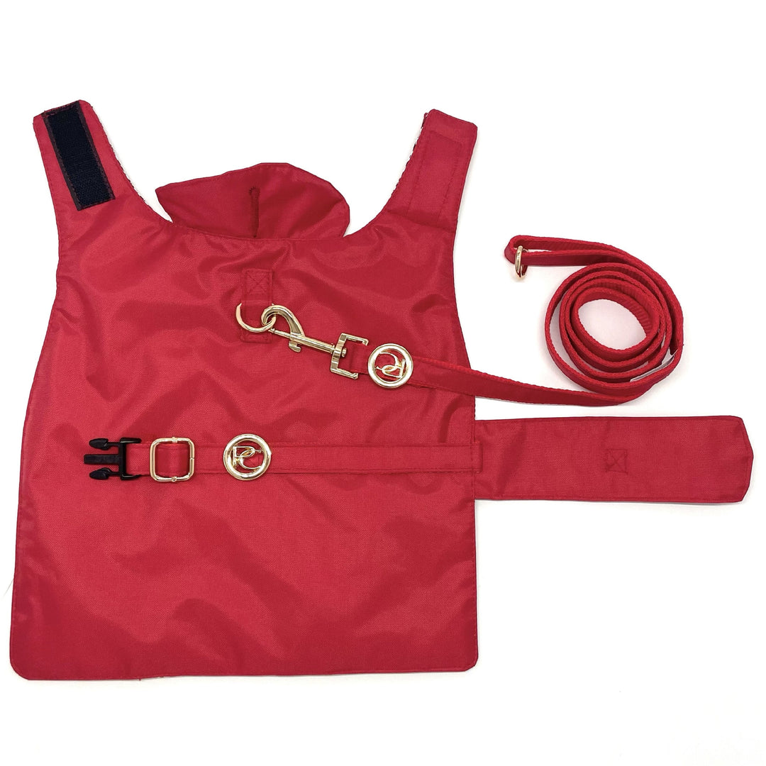 Red Rain matching leash