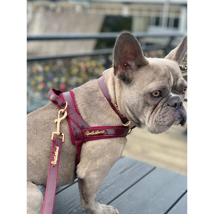 Red Wine One-Click Dog Harness