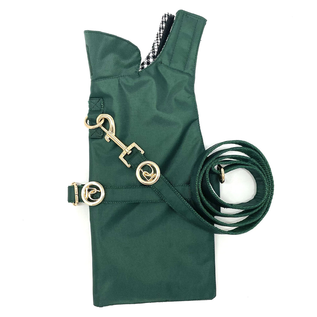 Green Rain matching leash