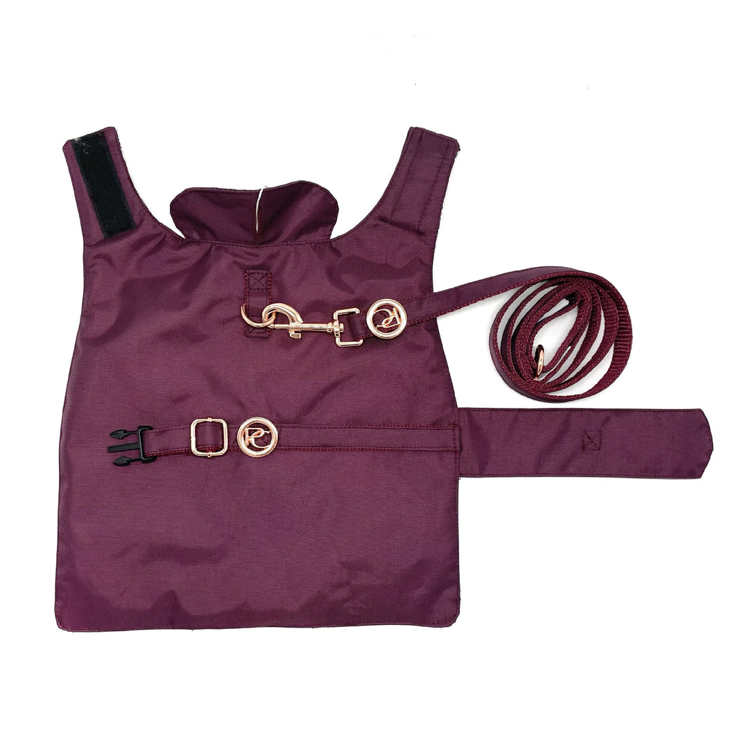 Burgundy Rain matching leash