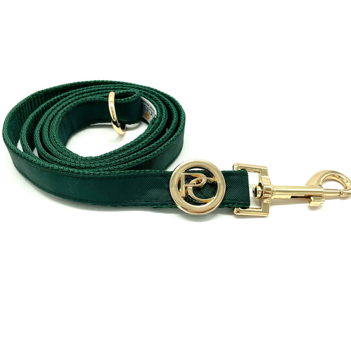 Green Rain matching leash