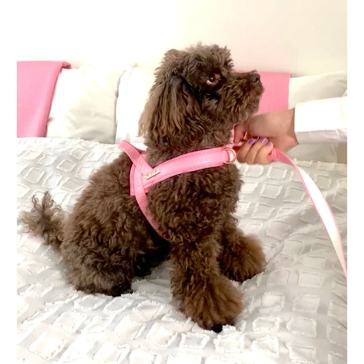 Rosie One-Click Dog Harness