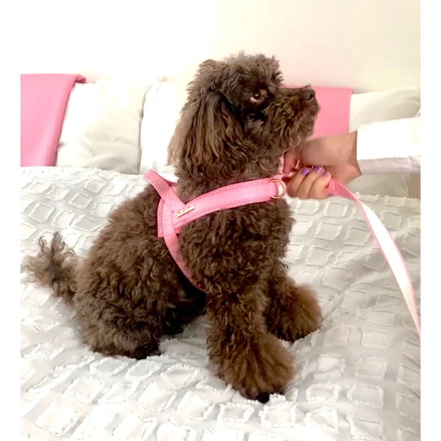 Rosie One-click dog harness